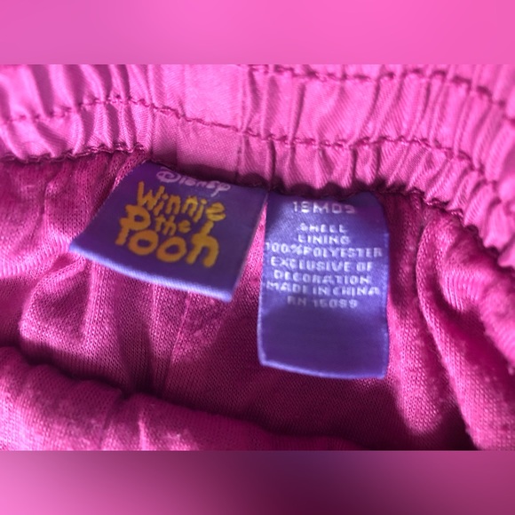Disney Winnie the Pooh Pants with Lining - Picture 2 of 5
